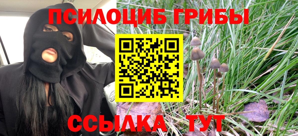 Галлюциногенные грибы мухоморы Копейск