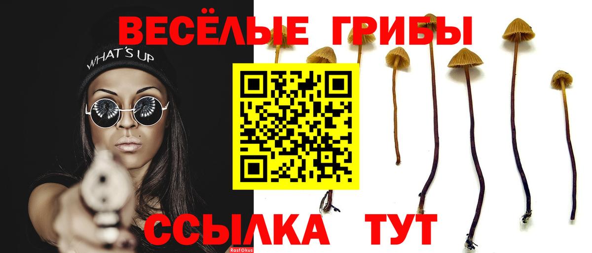 Копейск  Галлюциногенные грибы мухоморы  Галлюциногенные грибы Psilocybine cubensis  Вход с VPN 